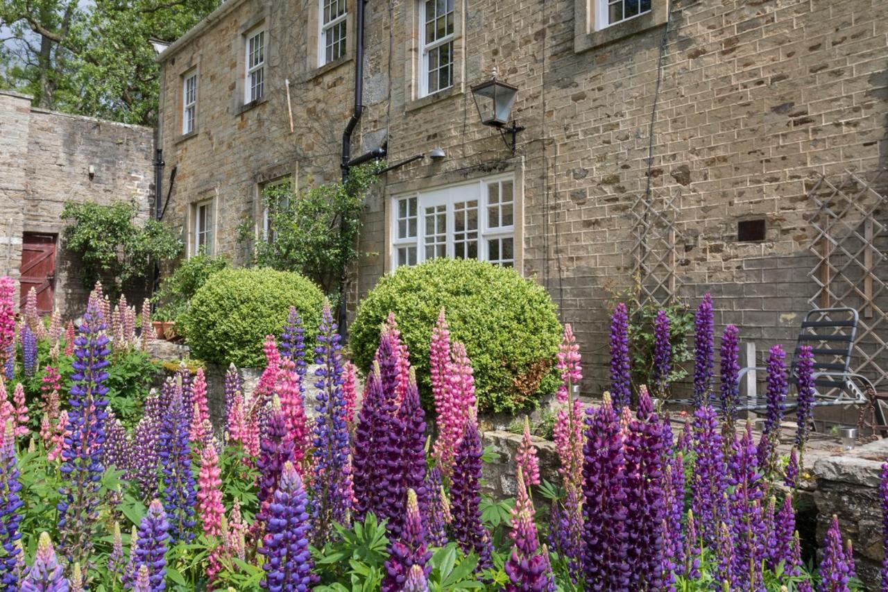 Hamsterley Grove House B &B住宿加早餐旅馆 外观 照片